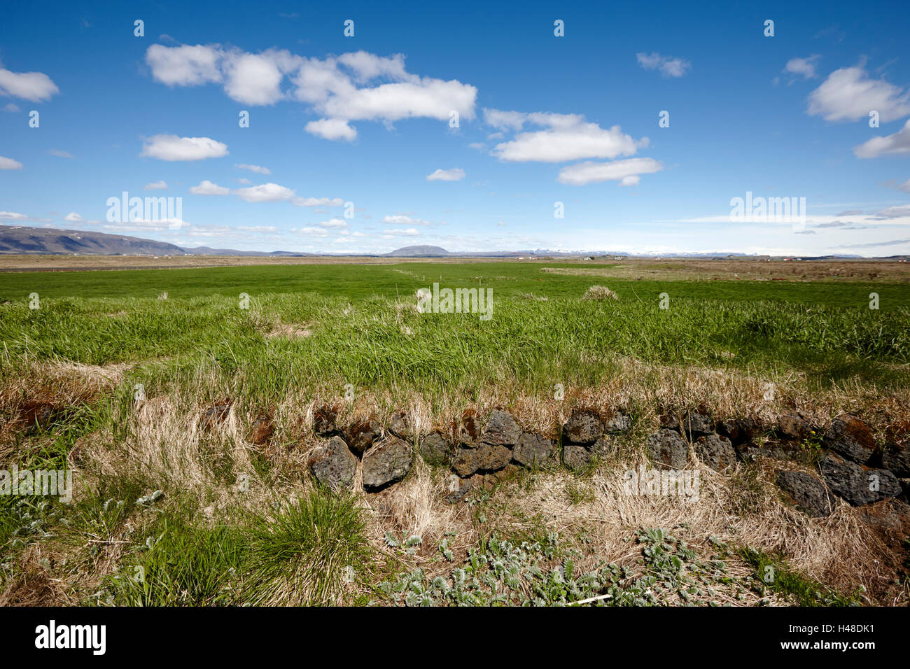 Champ d'herbe et de la pierre sèche en bordure du mur les terres agricoles ouvertes l'Islande Banque D'Images