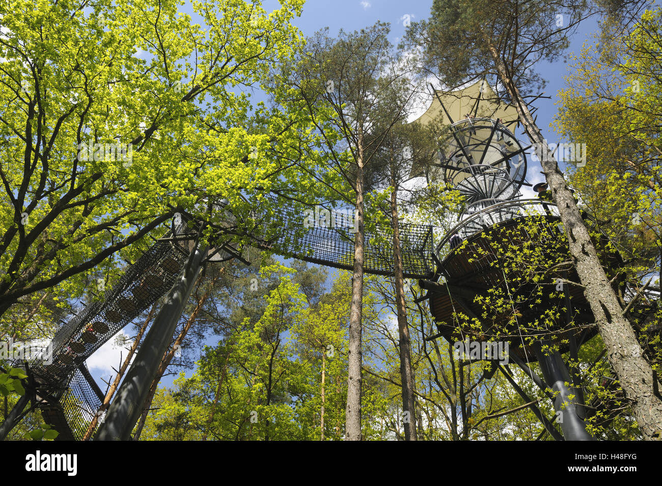 Maison de la biosphère, voie de la canopée, escaliers en spirale, traversée de pont, de la Forêt du Palatinat, Rhénanie-Palatinat, Allemagne, Banque D'Images