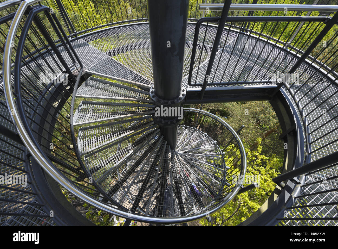 Maison de la biosphère, chemin de la cime, en colimaçon, personne de la Rhénanie bois, Rhénanie-Palatinat, Allemagne, Banque D'Images