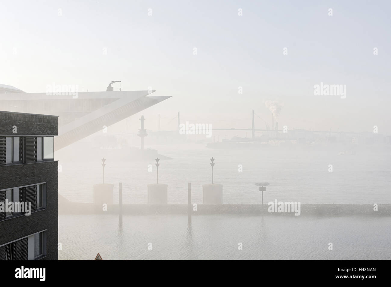 Brouillard au sol au-dessus de l'Elbe, bizarre, inhabituel, Elbberg Campus, Altona, ville hanséatique de Hambourg, Allemagne, Banque D'Images