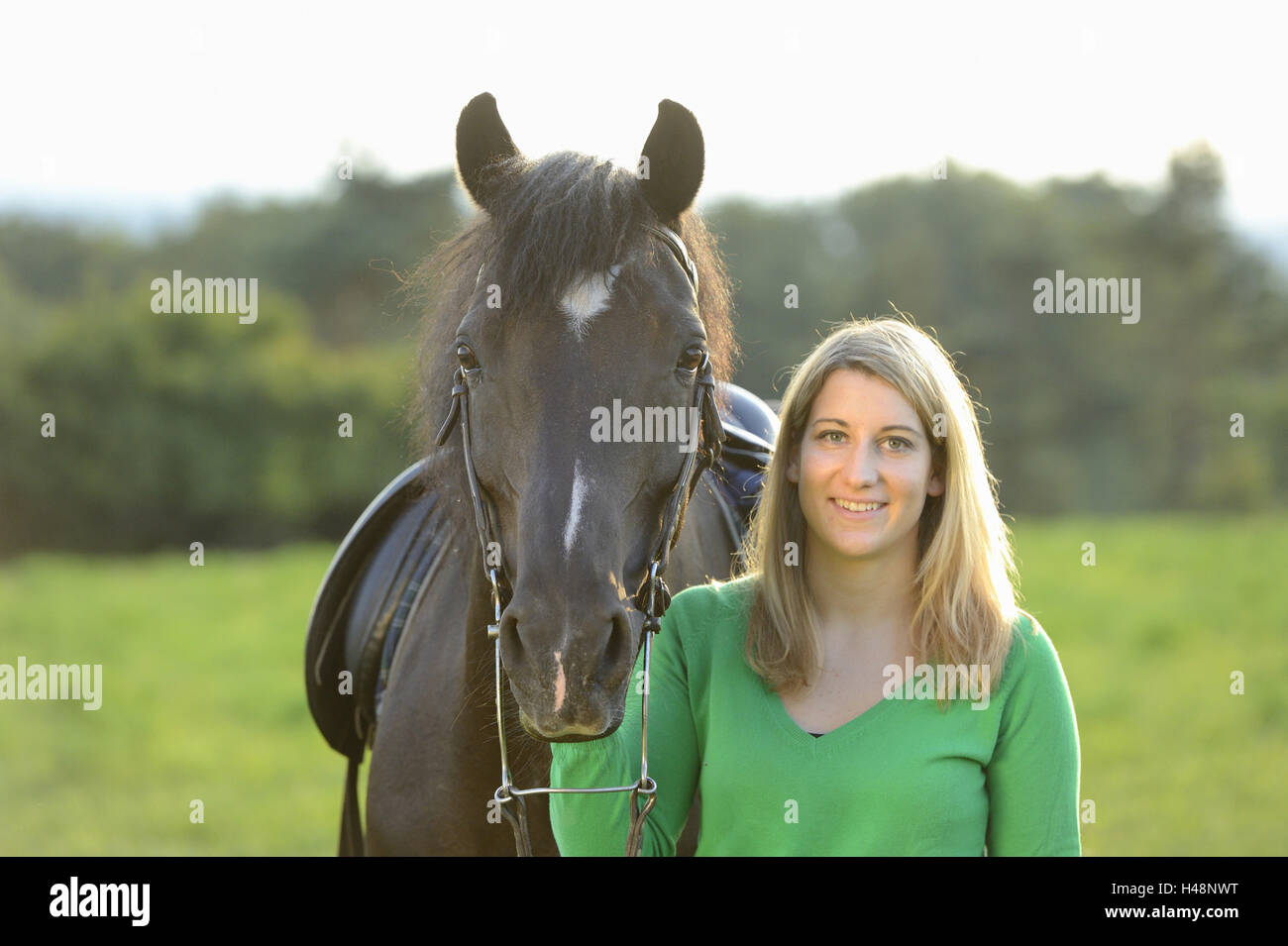 Adolescente, cheval, Arabo-Haflinger, pré, tête, pied, voir l'appareil photo, Banque D'Images