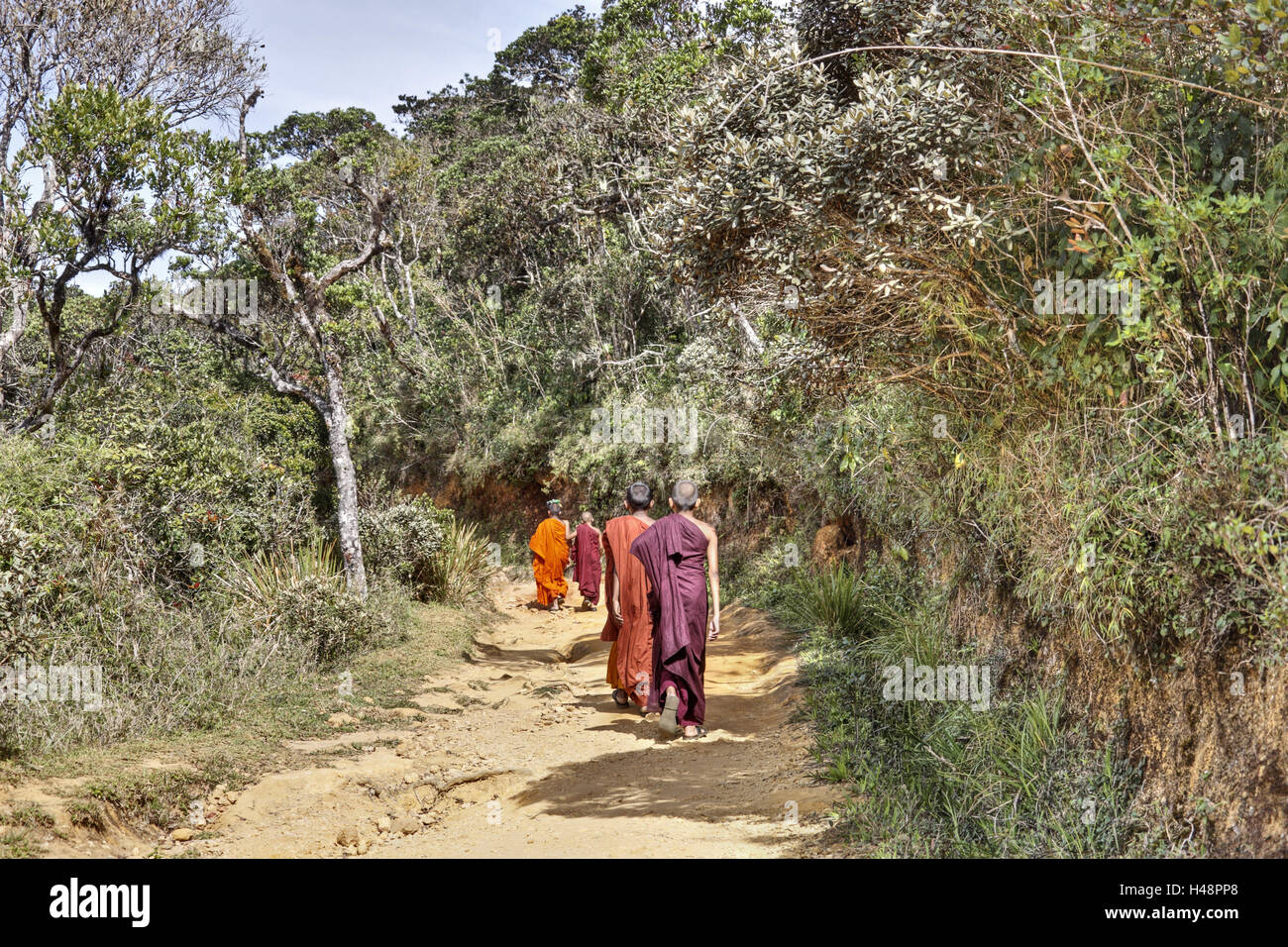 Sri Lanka, Horton Plains, les moines d'aller marcher, Banque D'Images