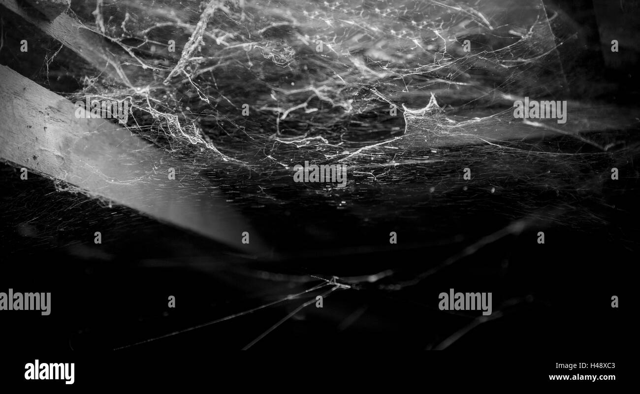 Cobweb dans plafond ancient Thai house Banque D'Images