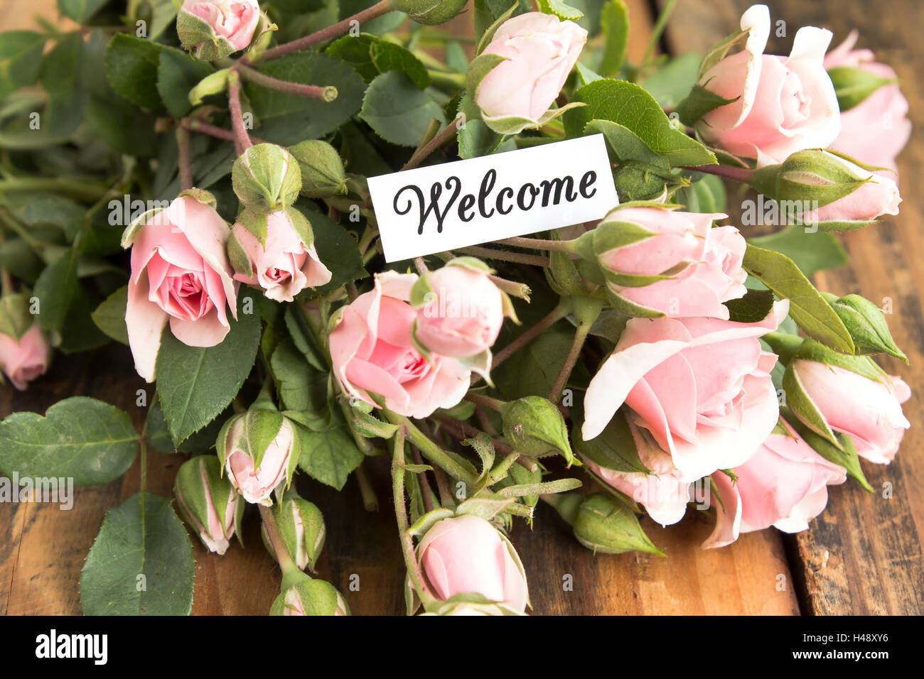 Carte de bienvenue avec bouquet de roses roses. Banque D'Images