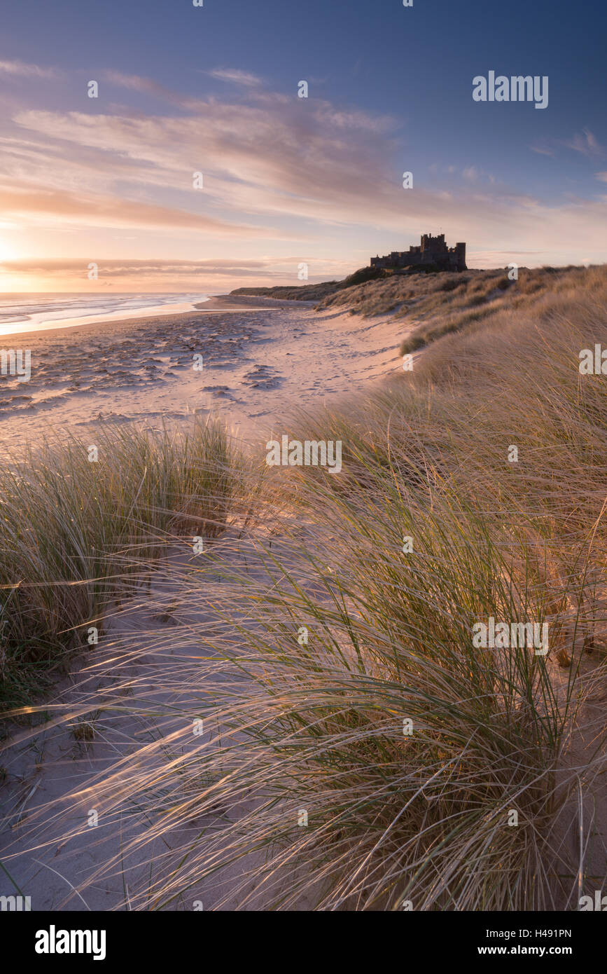 Lever du soleil sur le château de Bamburgh, Northumberland, Angleterre. Printemps (mars) 2014. Banque D'Images