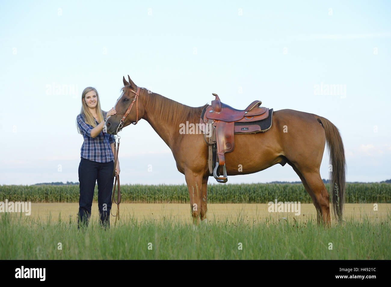 Teenagerin, horse, Paint horse, meadow, stand, voir l'appareil photo, Banque D'Images