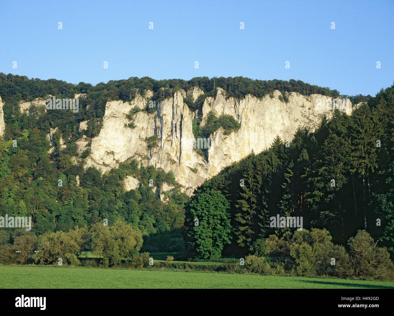 Allemagne, Bade-Wurtemberg, cauchemar de la Souabe, vallée du Danube, show rock, ciel, bleu, Beuron, Neidingen, réserve naturelle, de roche, de falaise, de calcaire, d'escalade, escalade rock, voyager, la nature, bois, arbres, ciel, bleu, soleil, tourisme, personne, Banque D'Images