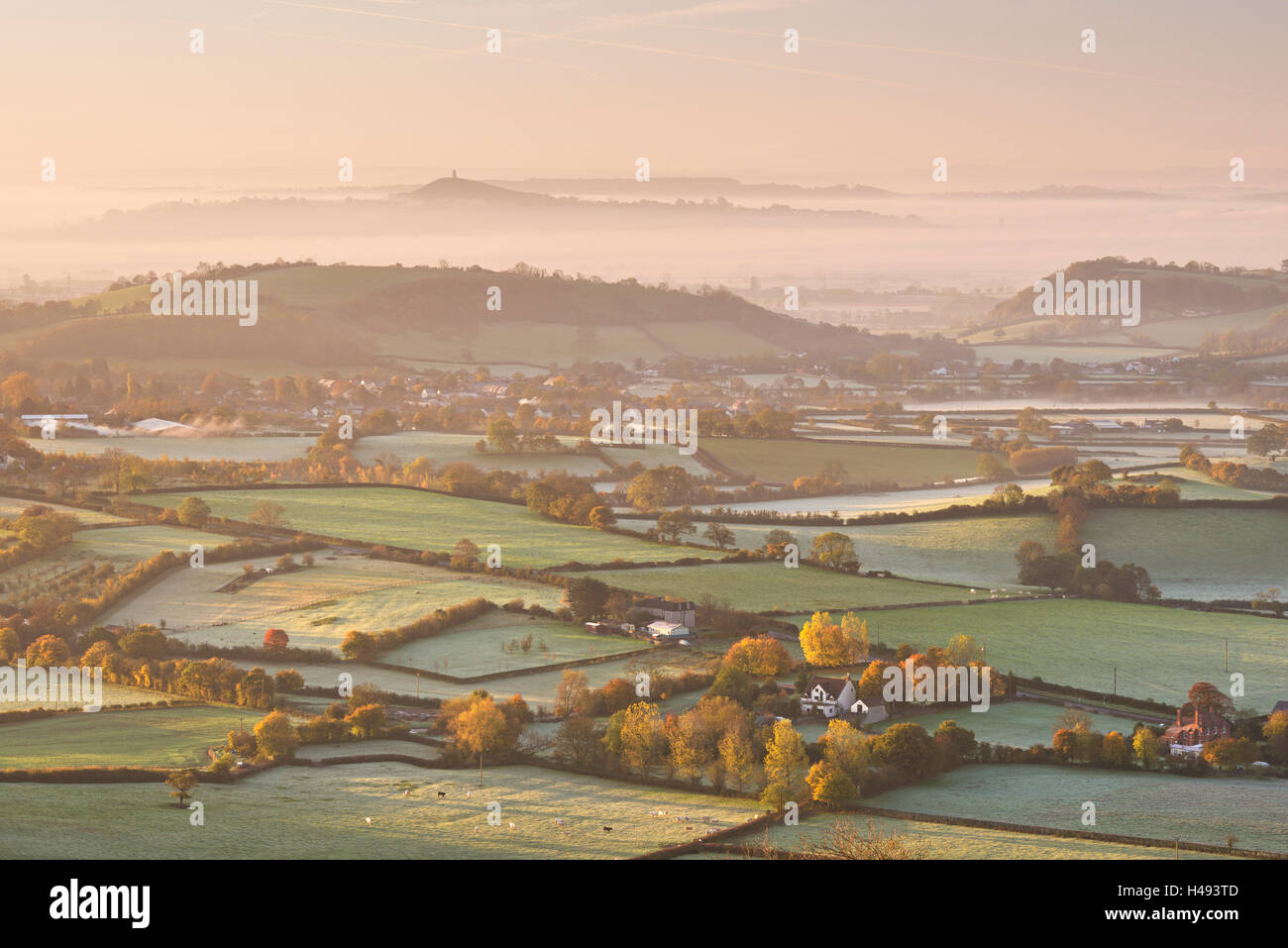 Misty Dawn Vue sur campagne Somerset vers Tor de Glastonbury, Somerset, Angleterre. L'automne (novembre) 2013. Banque D'Images