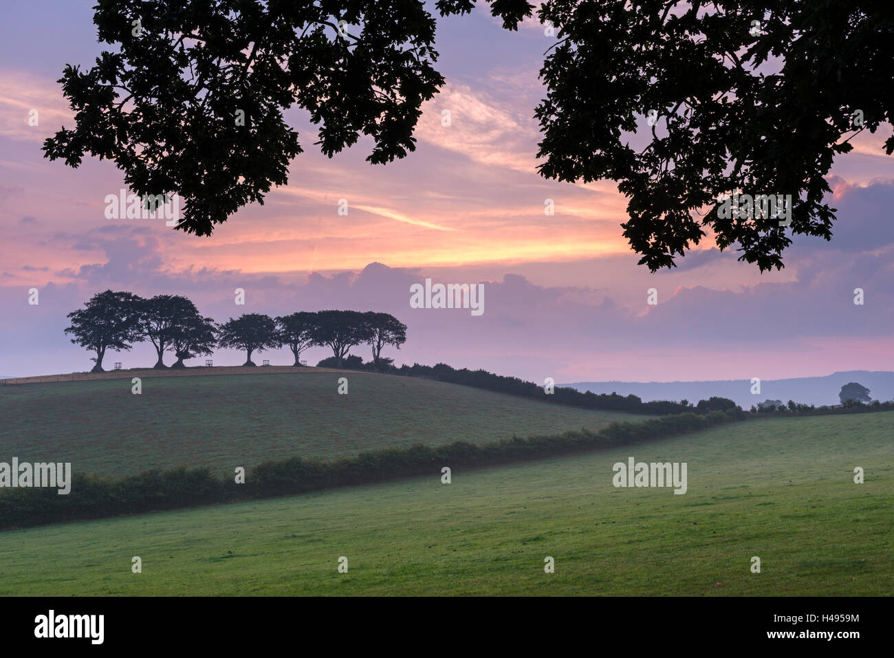 Au lever du soleil sur la campagne rurale, Luccombe, Parc National d'Exmoor, Somerset, Angleterre. L'été (août) 2013. Banque D'Images