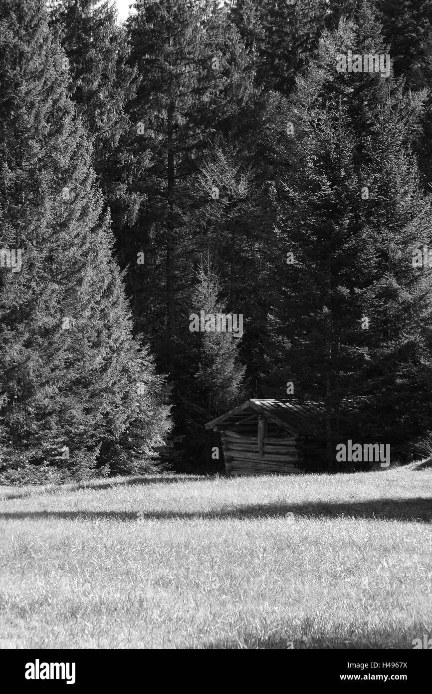 Prairie, cabane, edge la forêt, b/w, ensoleillée, hutte, cabane en bois, étable, grange à foin, noir et blanc, bois, prairie, alpage, Banque D'Images