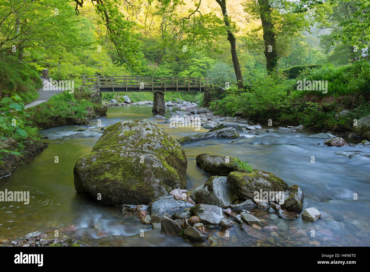 Pont de bois sur la rivière East Lyn à Watersmeet, Exmoor National Park, Devon, Angleterre. Printemps (mai) 2013. Banque D'Images