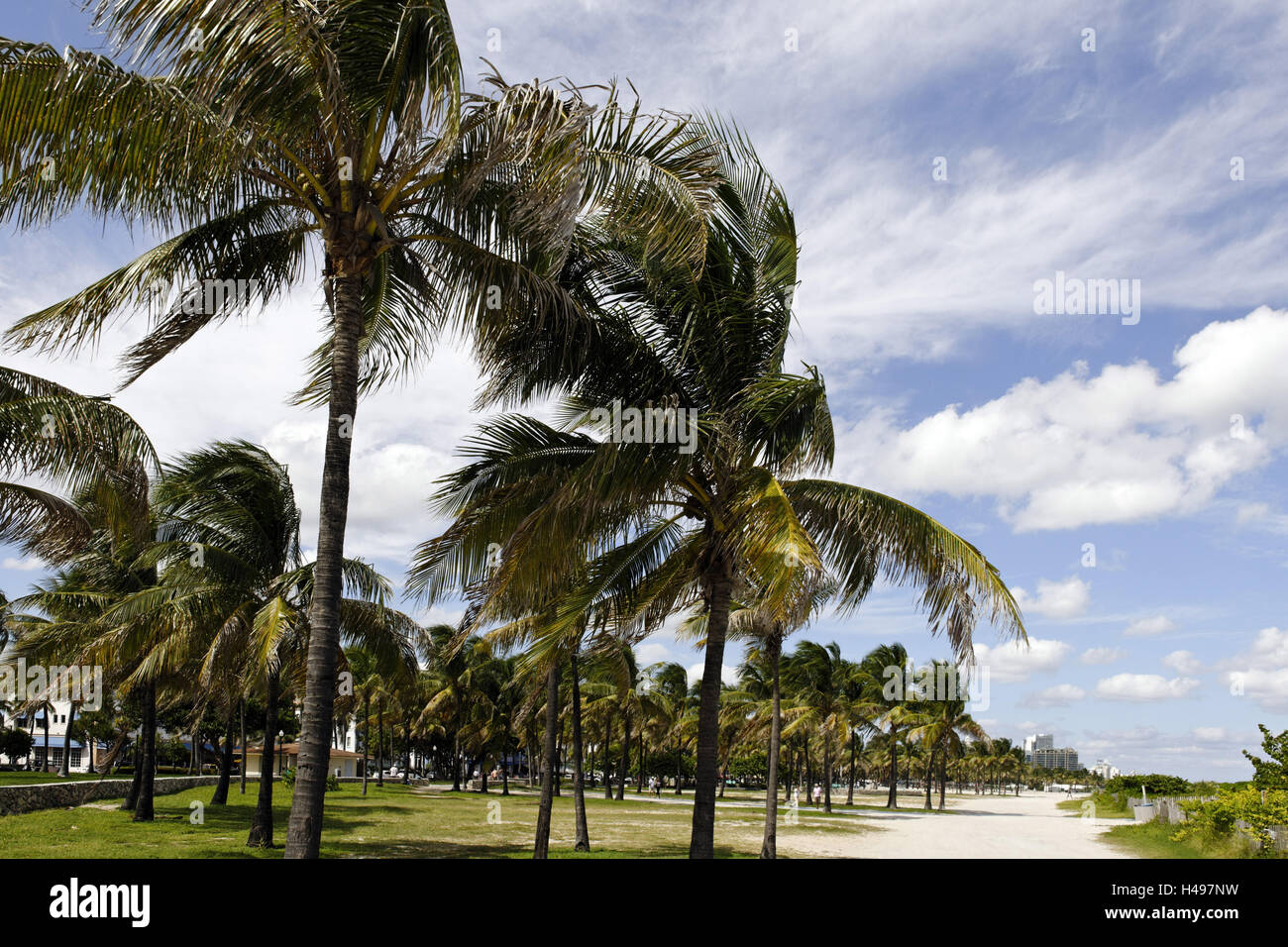 Le parc Lummus, Ocean Terrace, South Miami Beach, genre de déco, Florida, USA, Banque D'Images