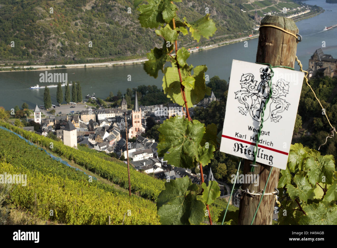 Vignoble, vue, Bacharach, Pierre, vallée du Rhin, Rhénanie-Palatinat, Allemagne, Banque D'Images