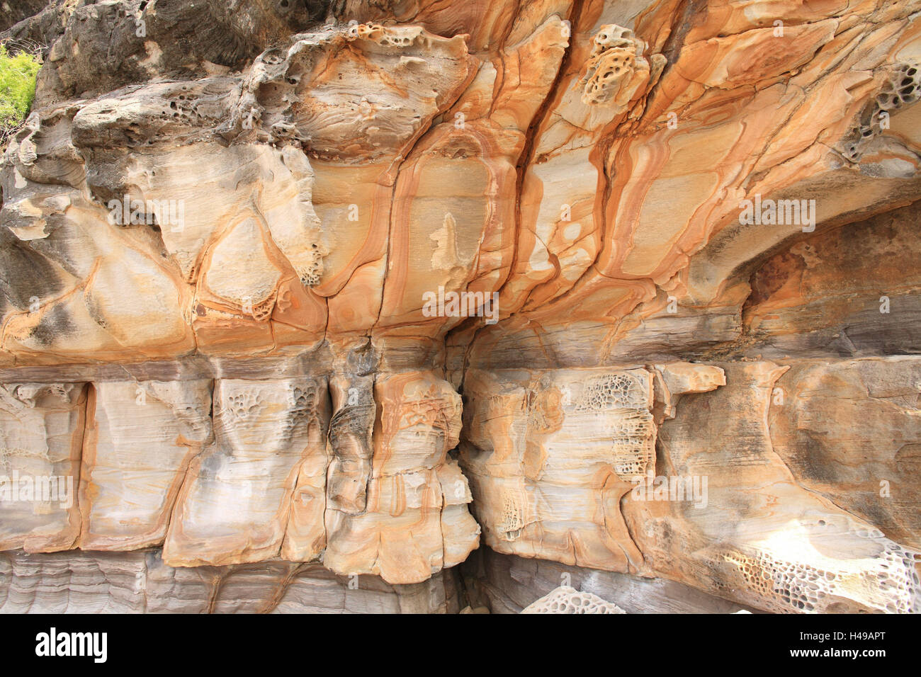 L'Australie, Nouvelle Galles du Sud, Ku-Ring-gai Chase National Park, bile, formations, détail, lieu de destination d'intérêt, nature, parc national, réserve naturelle, réserve, grès, formations de grès, la géologie, l'érosion, rock, poreuse, fente, Banque D'Images