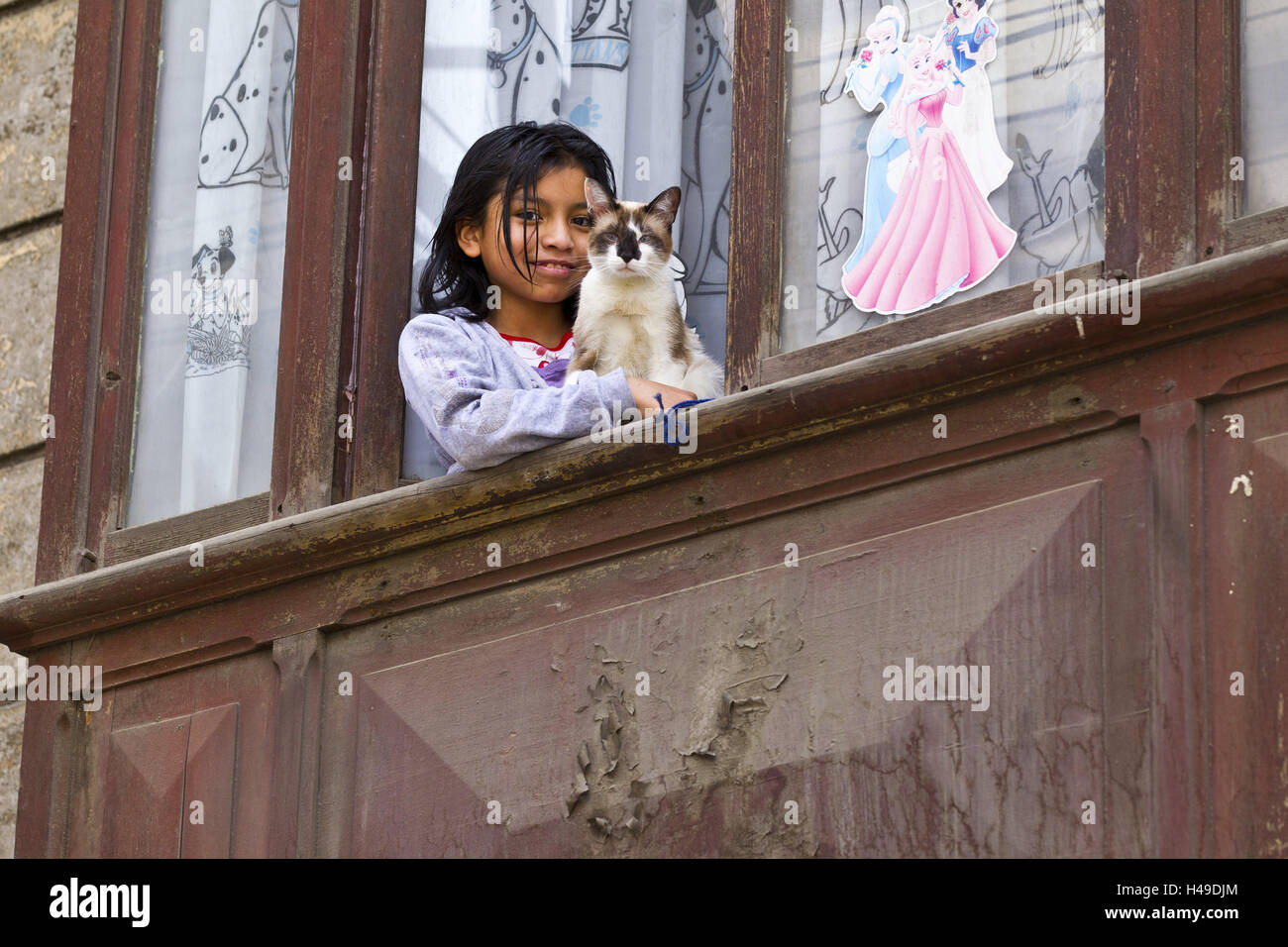 La Bolivie, fenêtre, girl, locale, chat, personne, enfant, animal, animaux, portrait, sourire, friendly, Banque D'Images