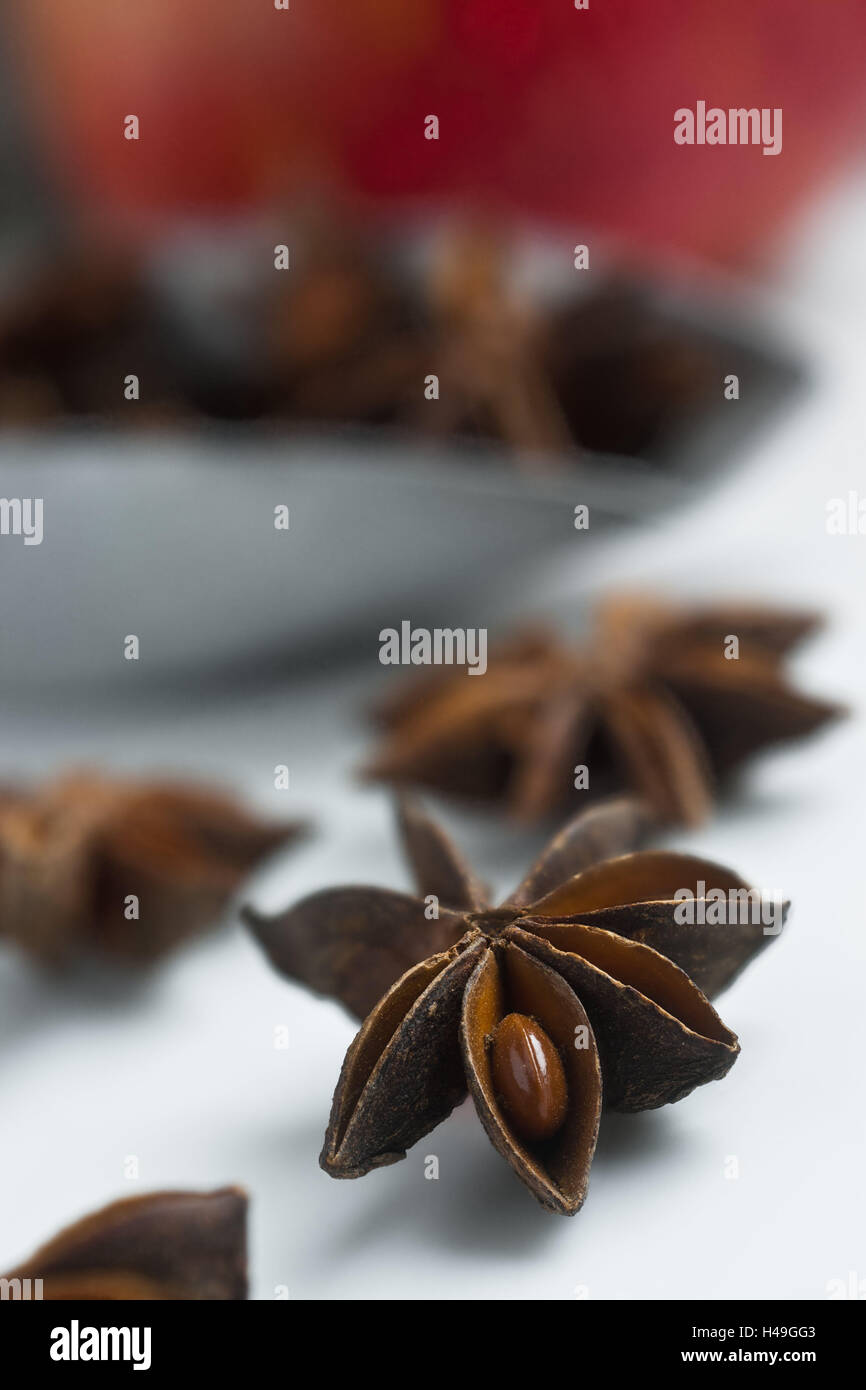 Stern, fruits d'anis, pelle, découper, d'épices, de l'alimentation, de l'enregistrement en studio, sèchement, fragrantly, Anethol, anis, medium close-up, Banque D'Images