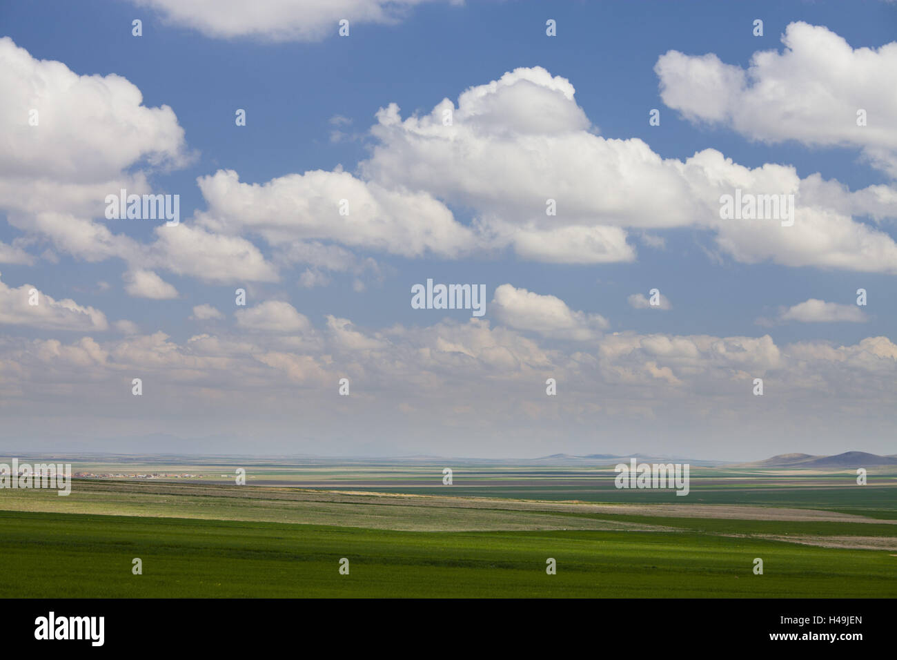 Les nuages et les champs proches de Konya, Anatolie, Turquie, Banque D'Images