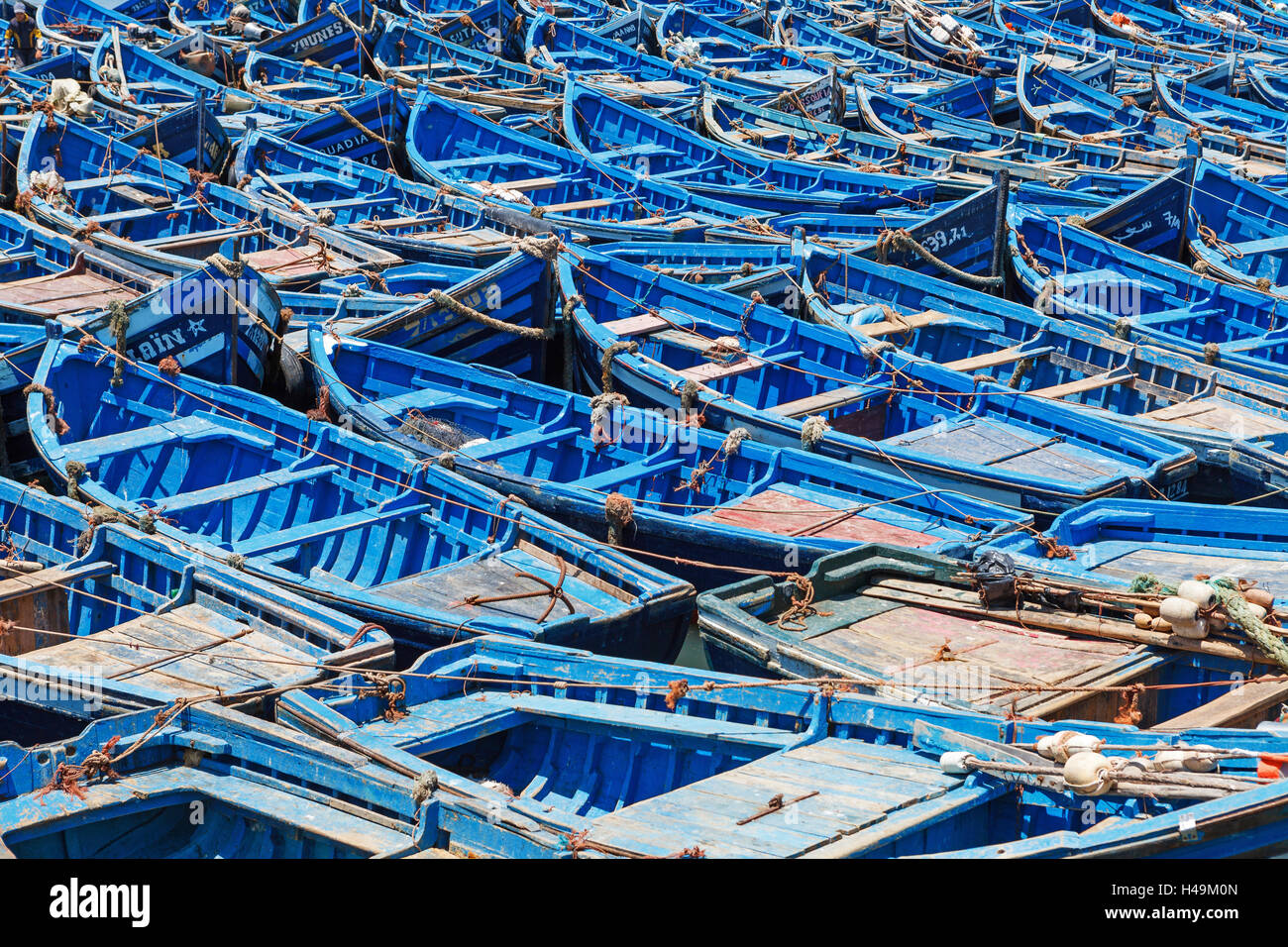 Port de pêche plein de bateaux de pêche bleu, Essaouira, Maroc Banque D'Images