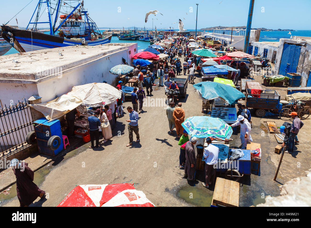 Port de pêche à Essaouira, Maroc Banque D'Images
