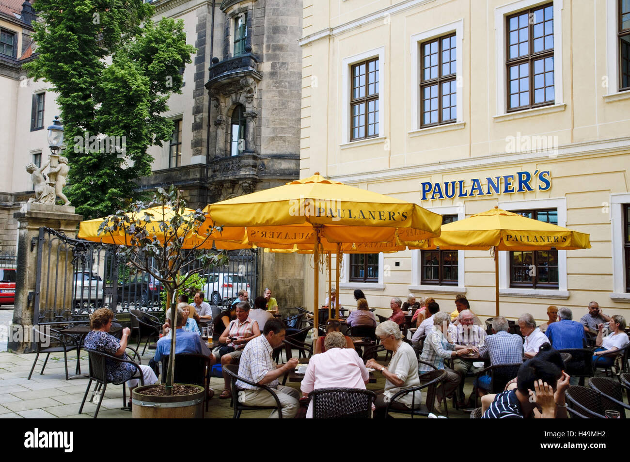 käseglocke dresden bar und café