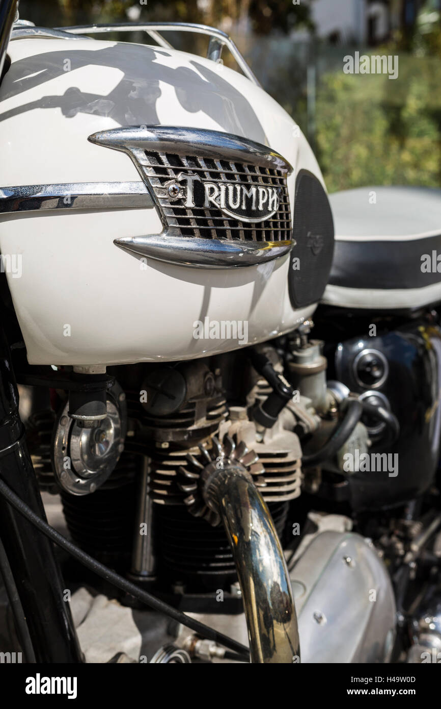 Détail d'un badge réservoir Classic Triumph Bonneville T120 de 1963, restauré, stationné à Tenerife, Îles Canaries. Banque D'Images