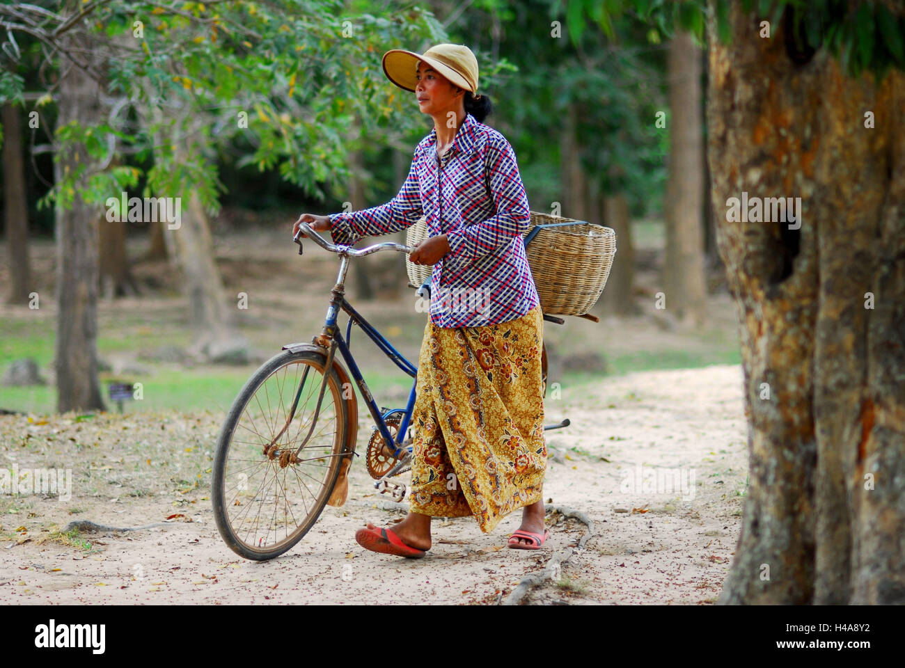 Le Cambodge, la femme pousse location, Banque D'Images