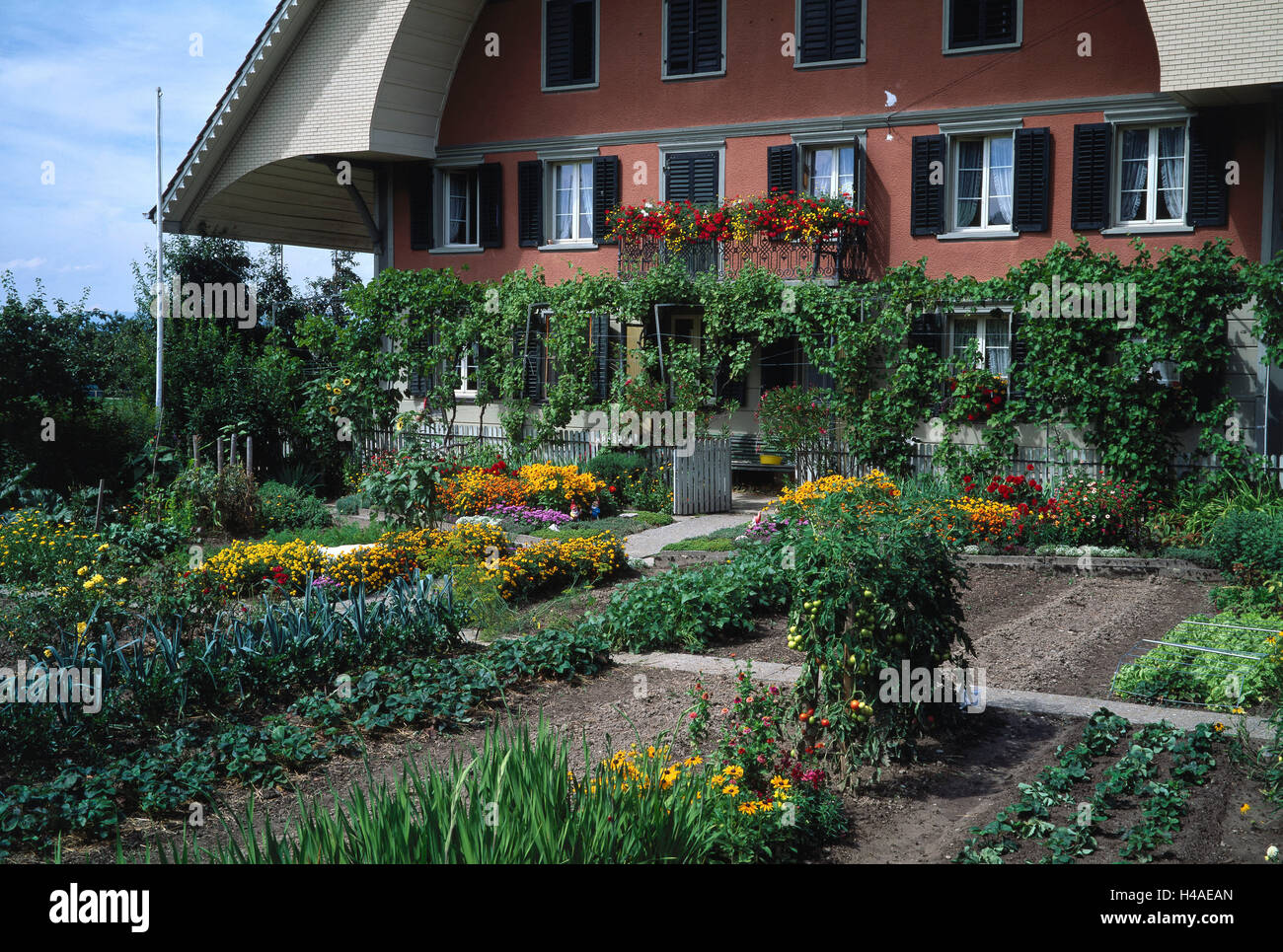 La Suisse, de l'emmenthal, ferme, Chalet jardin, lits de légumes, fleurs, Banque D'Images