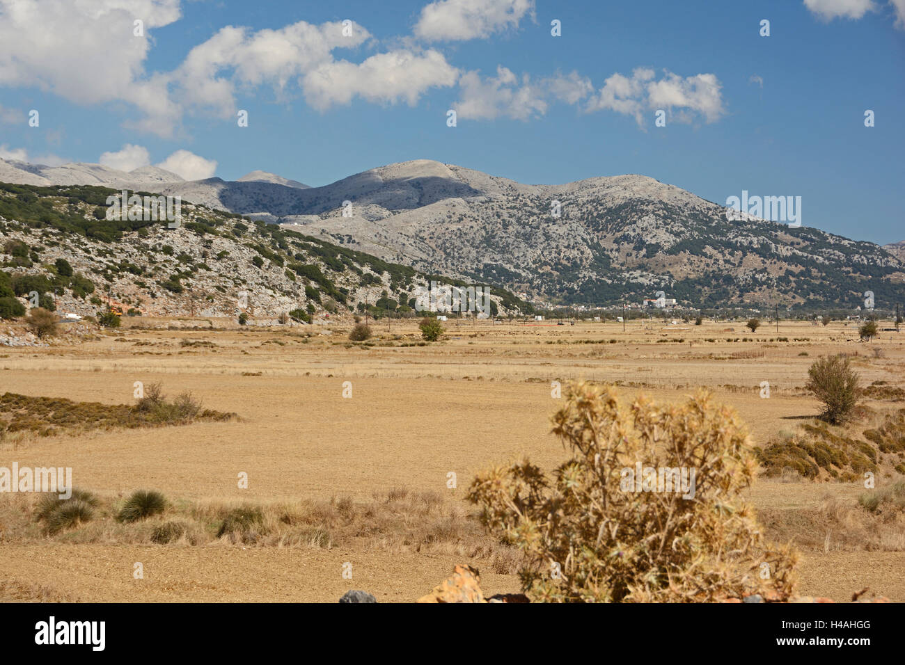 Plateau de Lassithi, Crète Banque D'Images