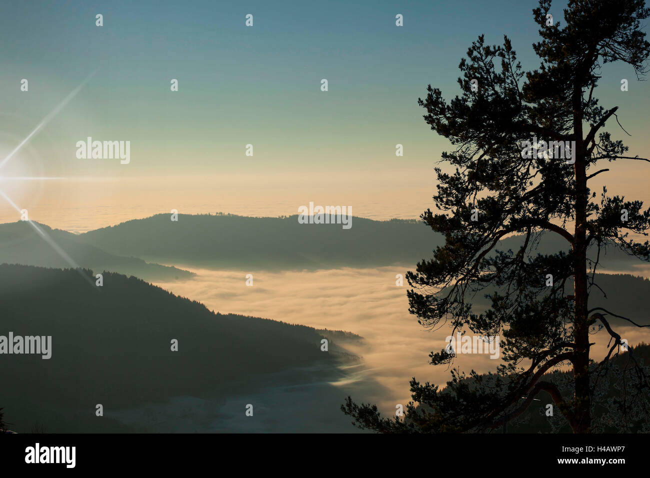 L'Allemagne, le Bade-Wurtemberg, la haute Forêt-Noire à vélo, vue depuis le Mummelsee Banque D'Images