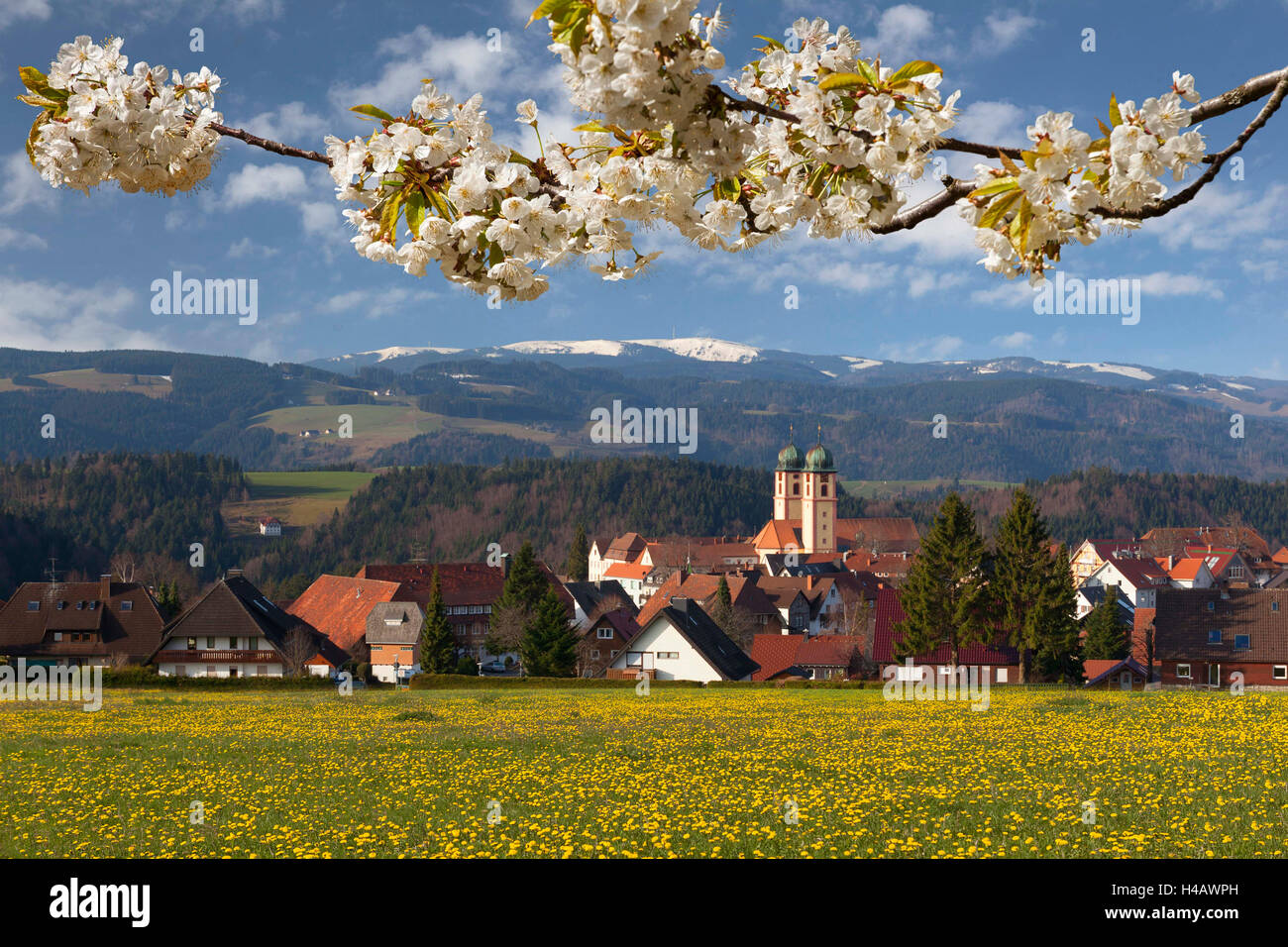 Allemagne, Bade-Wurtemberg, Breisgau, Haute Forêt Noire, St Märgen, Feldberg Banque D'Images