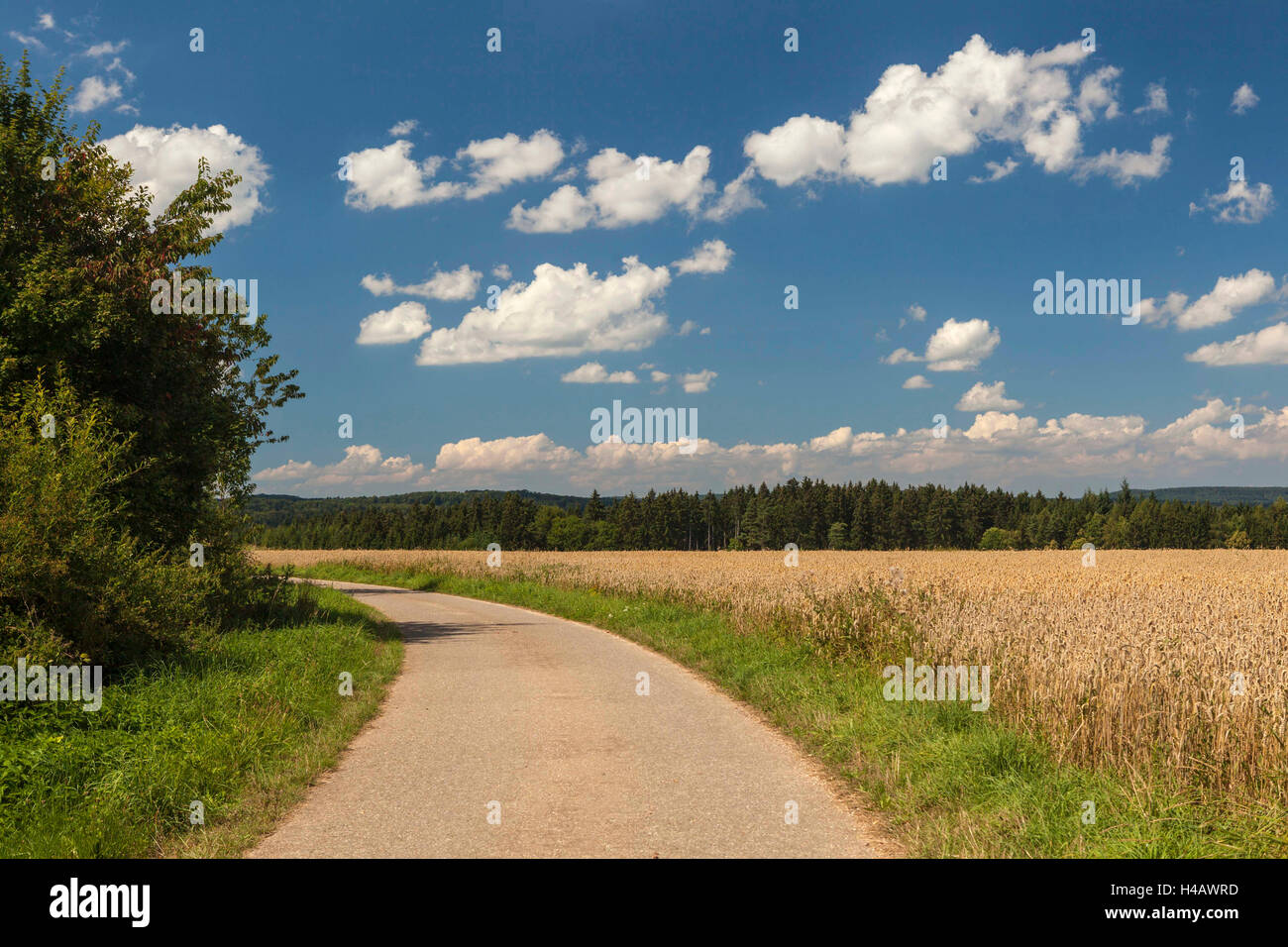 Allemagne, Bade-Wurtemberg, Jura souabe, pays, près d'Azzano Banque D'Images