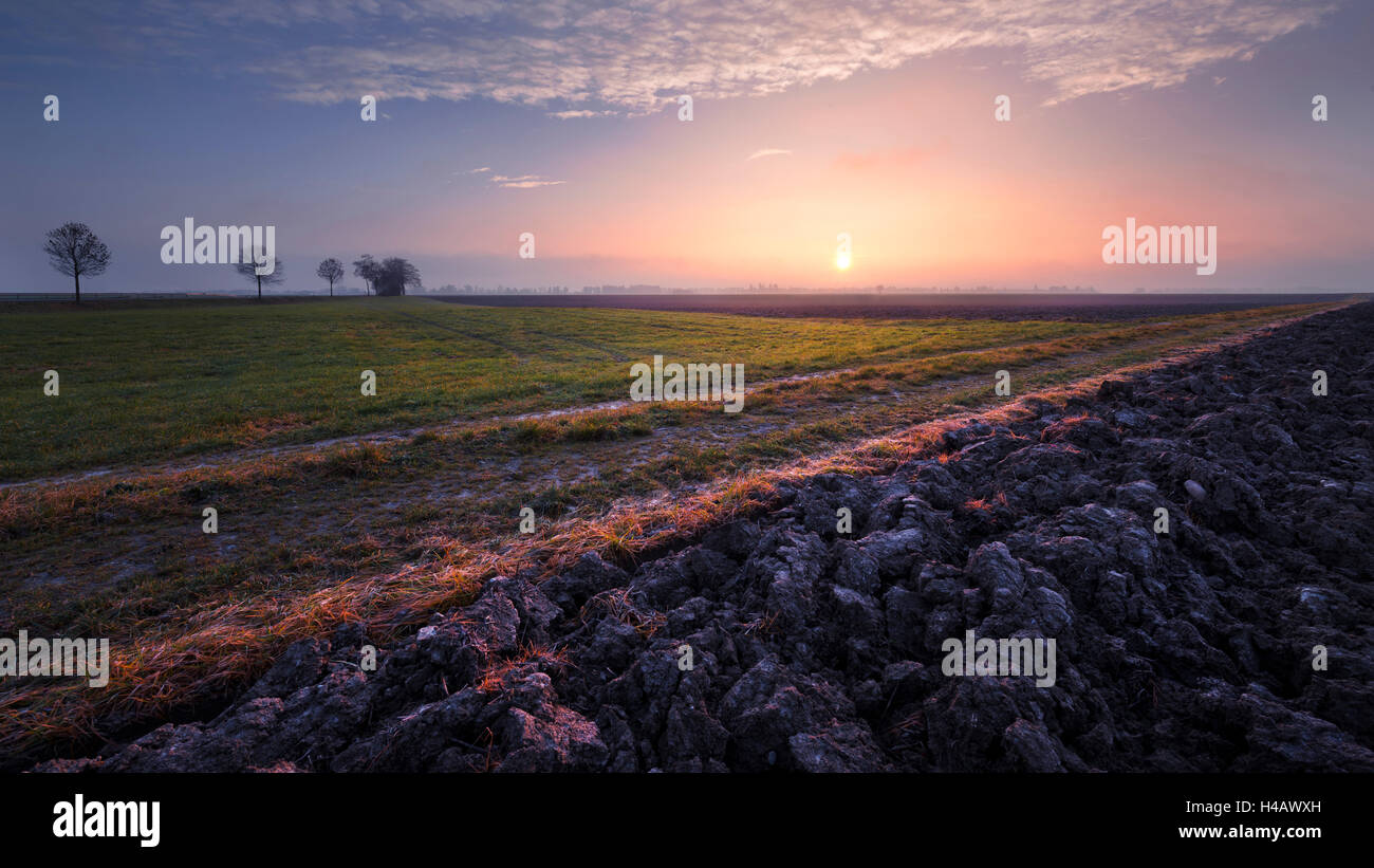 Germany, Bavaria, vallée de Lech Wertach, plaine, contreforts des Alpes, comté d'Augsbourg, brouillard, matin, Voie, chemin, champ, prairie, arbres, nuages, lumière, soleil, paysage, panorama, rural Banque D'Images