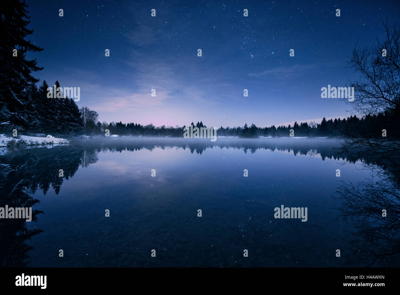Germany, Bavaria, comté d'Augsbourg, lac Auensee, nuit, étoile, froid, hiver, neige, des paillettes, de l'éclat, de l'eau, bleu, ciel, la mise en miroir, brouillard, panorama, sapins, nordic Banque D'Images Germany, Bavaria, comté d'Augsbourg, lac Auensee, nuit, étoile, froid, hiver, neige, des paillettes, de l'éclat, de l'eau, bleu, ciel, la mise en miroir, brouillard, panorama, sapins, nordic Banque D'Images