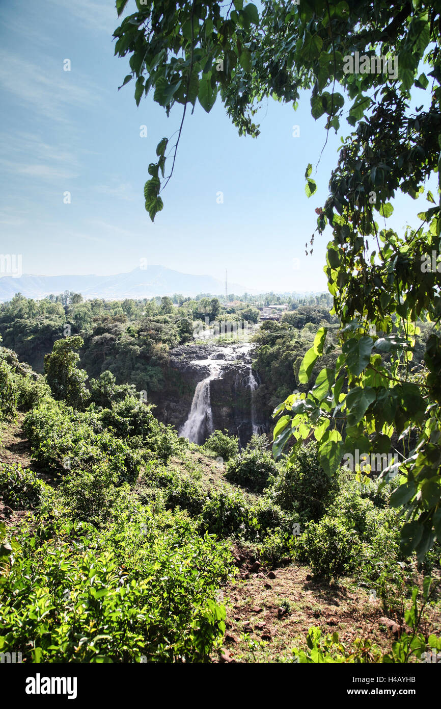 Tisisat, Amhara, l'Éthiopie, le Nil bleu, cascades du Nil Banque D'Images