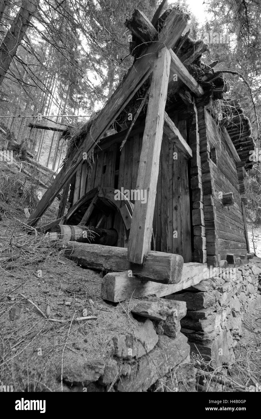 Moulin pourri dans une forêt de montagne Banque D'Images