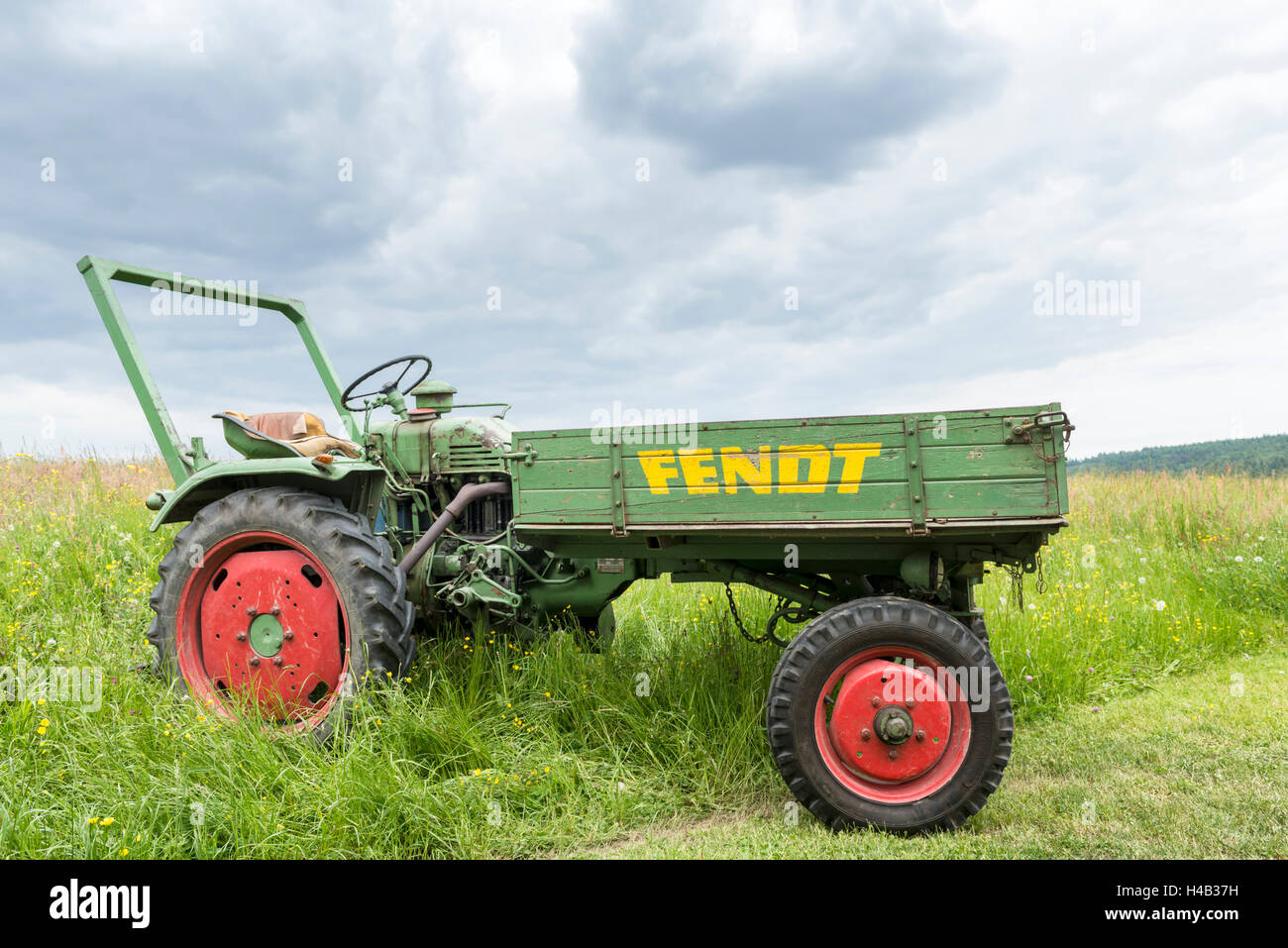 Michelstadt, Hessen, Allemagne, Fendt Dieselross F 220, GT, année de fabrication 1959, 19 HP, cylindrée 1810 cm3 Banque D'Images