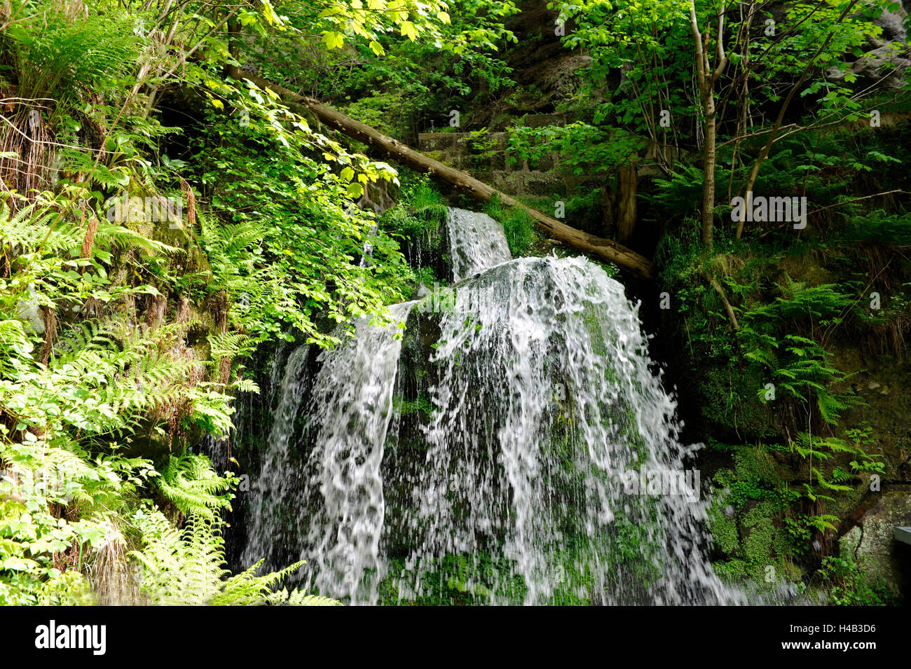 Amsel Falls, le Bourg, Amselgrund, parc national Suisse Saxonne, ville thermale Rathen Banque D'Images