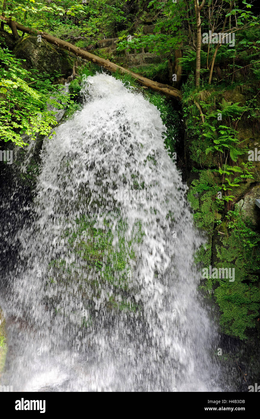 Amsel Falls, le Bourg, Amselgrund, parc national Suisse Saxonne, ville thermale Rathen Banque D'Images