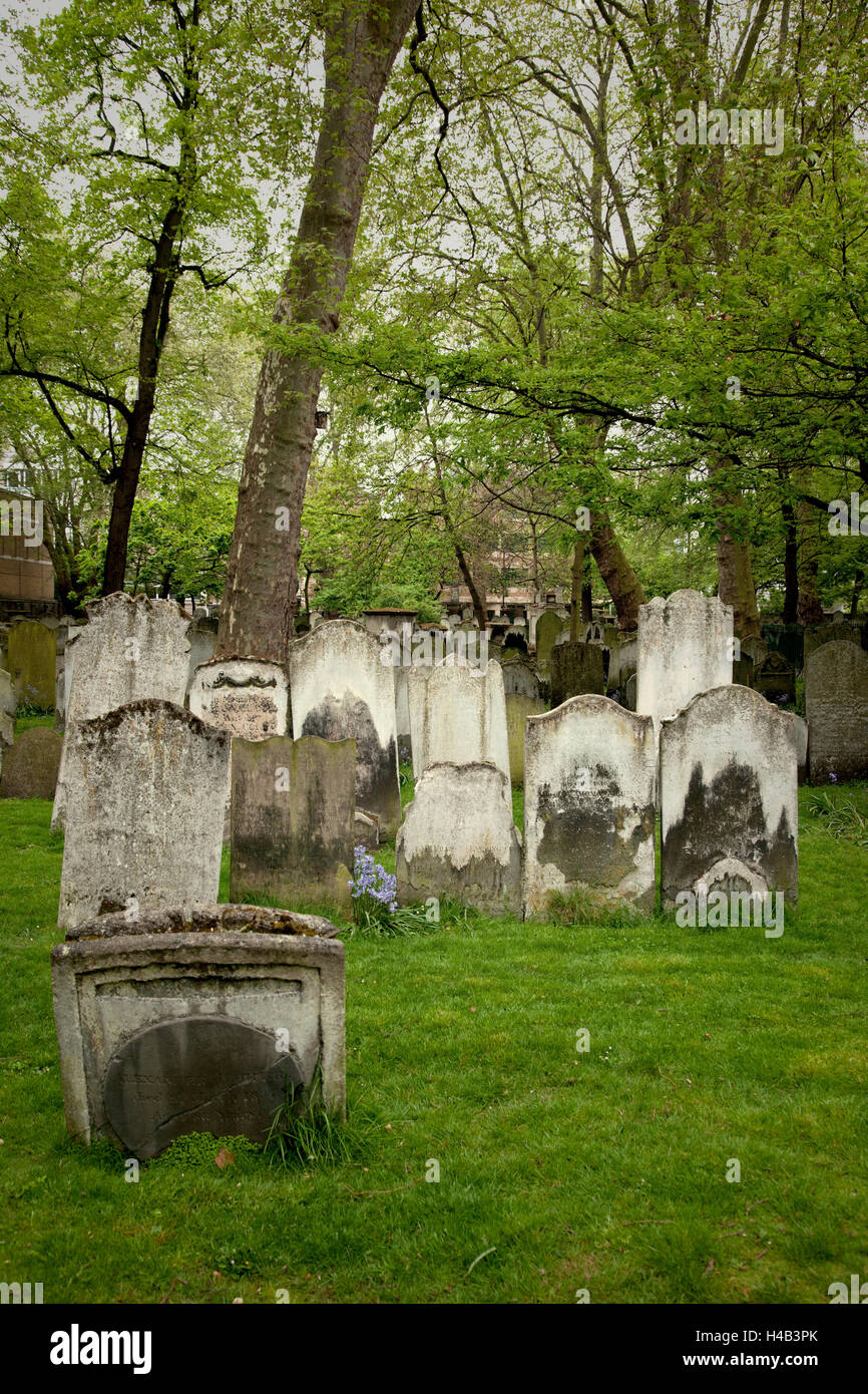 Cimetière, pierre tombale, arbres, inscription Banque D'Images