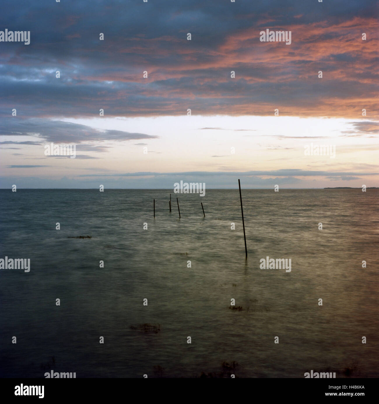 Le Danemark, l'île de Samso, mer Baltique, ciel clair, des bâtons, des filets de pêche, soirée Banque D'Images