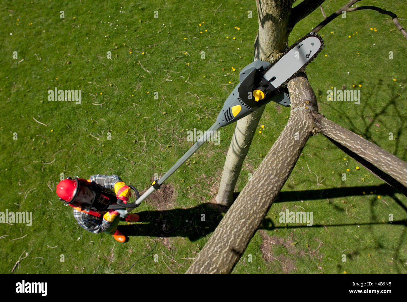 Jardinier, arbre coupé, sécateurs, scie électrique, Banque D'Images