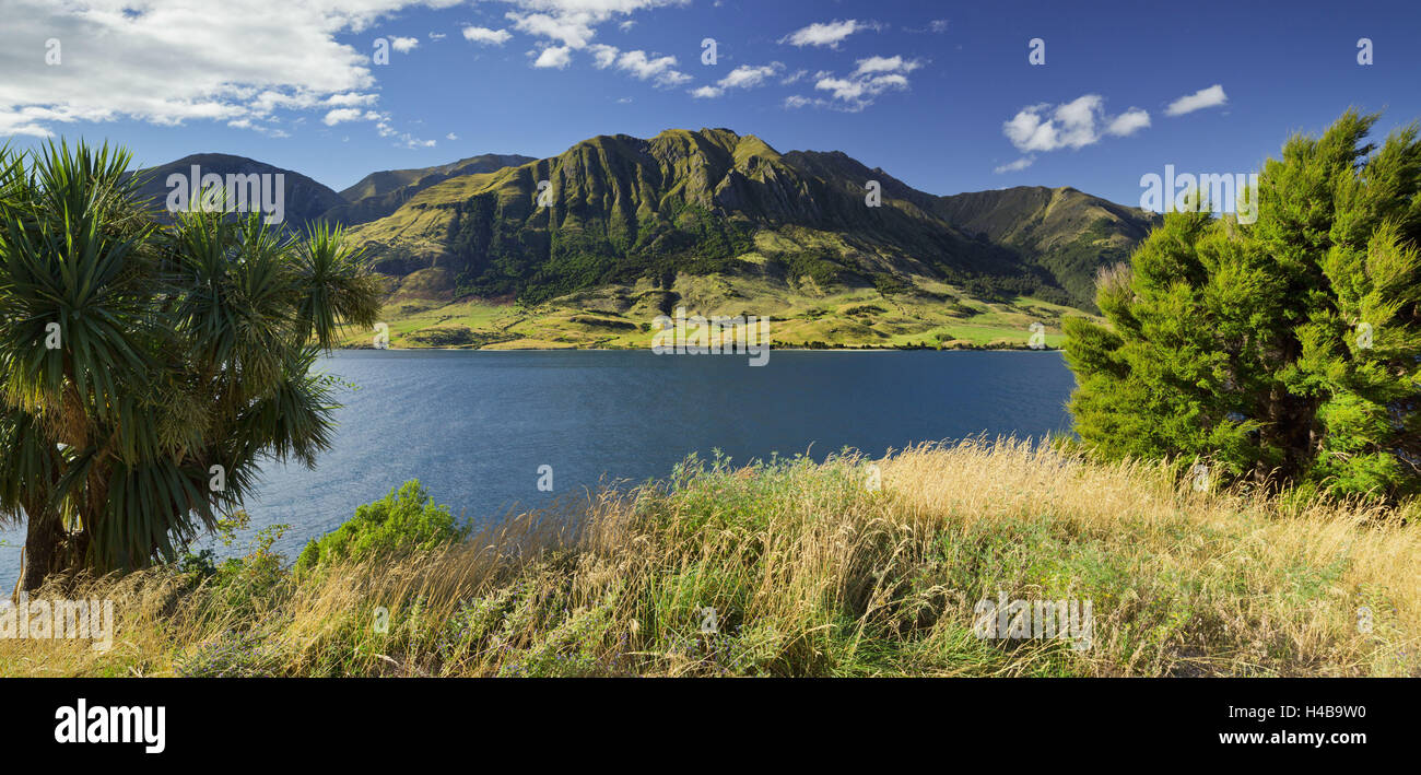 Pic Sentinel, le lac Hawea, Otago, île du Sud, Nouvelle-Zélande Banque D'Images