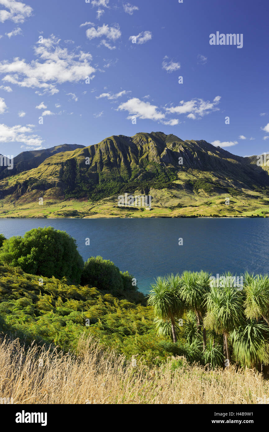 Pic Sentinel, le lac Hawea, Otago, île du Sud, Nouvelle-Zélande Banque D'Images