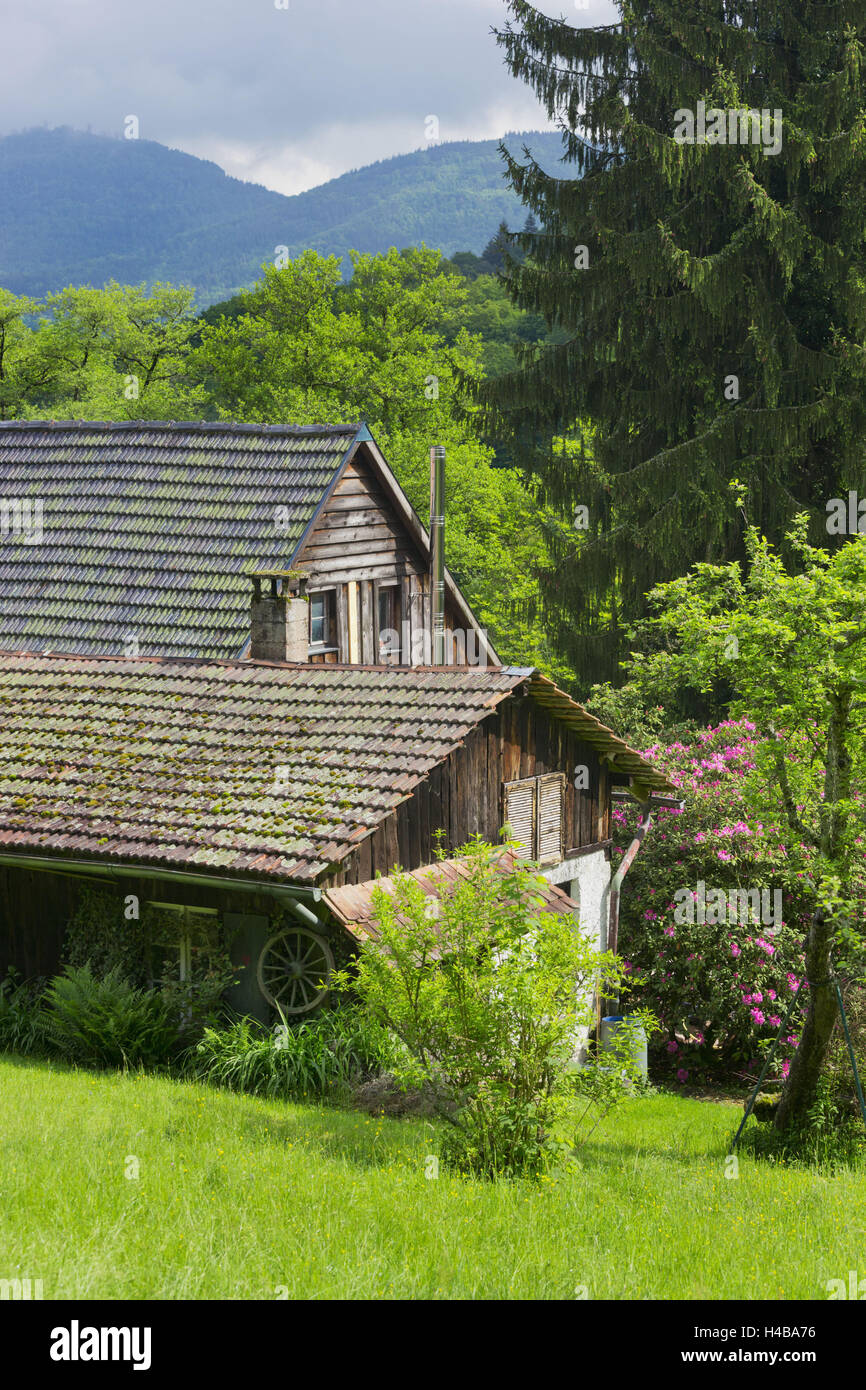 Ferme, Gerold villagesau, Forêt Noire, Baden-Baden, Bade-Wurtemberg, Allemagne Banque D'Images