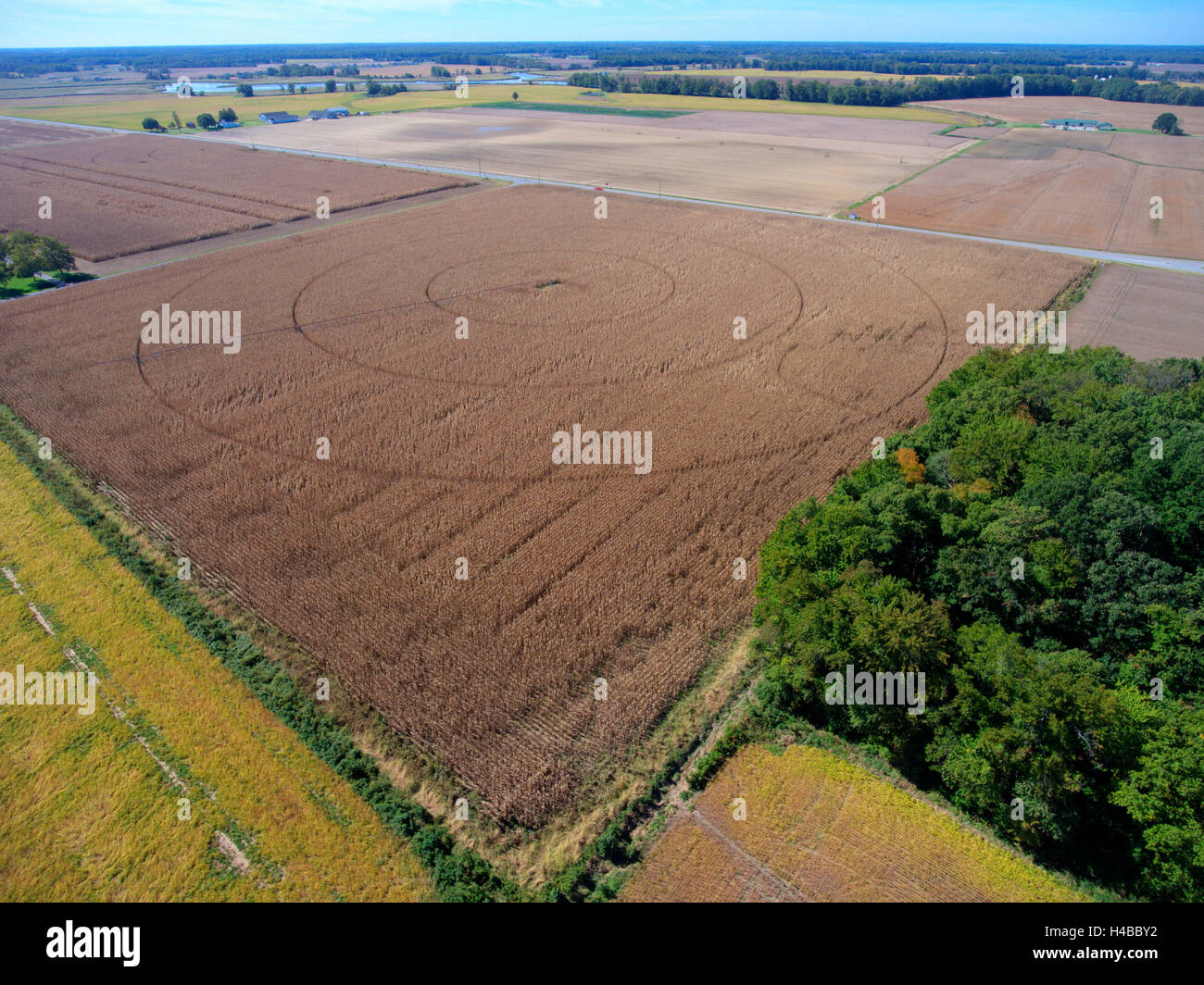 Les champs de maïs et les exploitations agricoles Banque D'Images