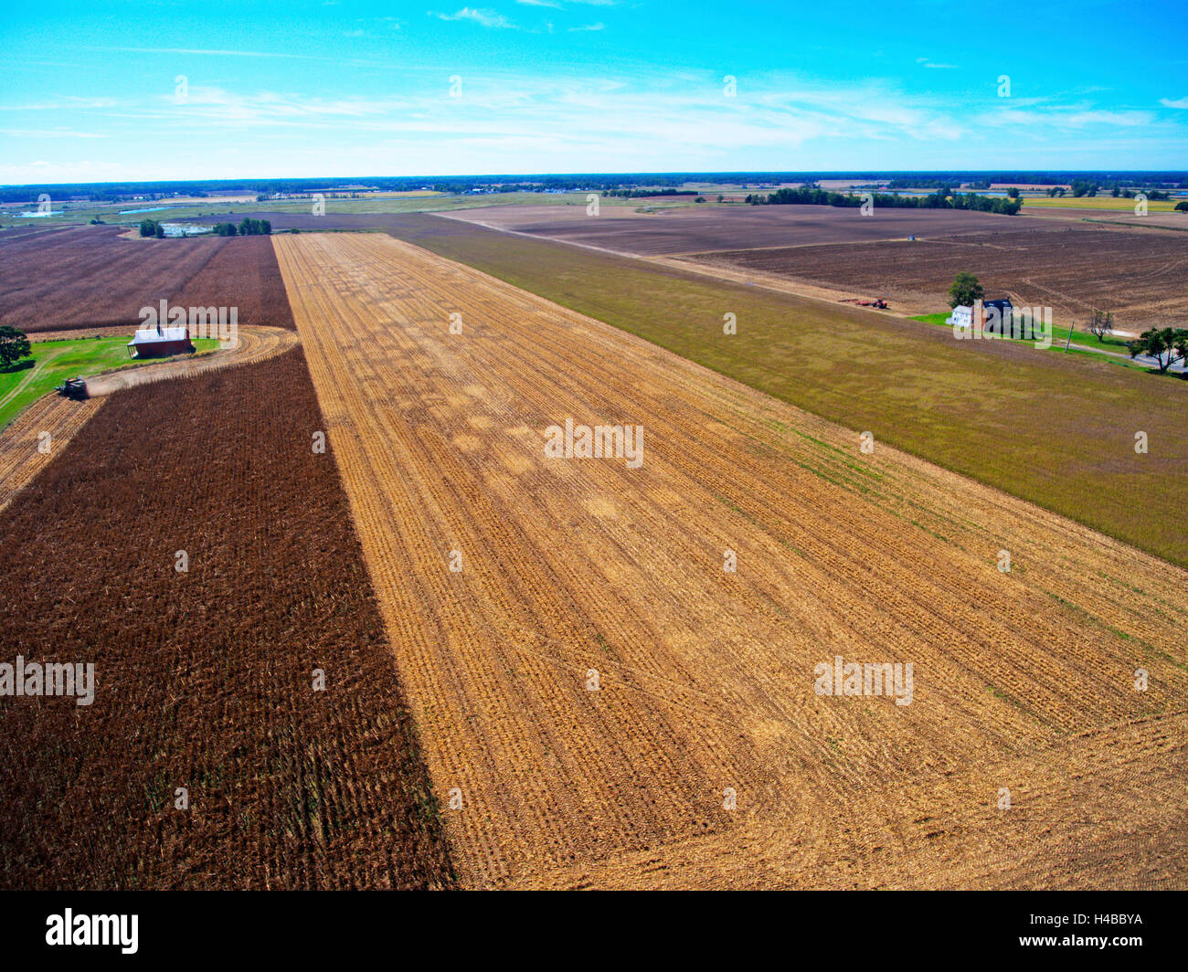 Cornfield et Delaware ferme Banque D'Images