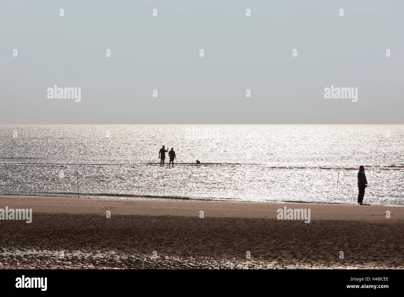 Sur la plage sur R°m°, Danemark Banque D'Images