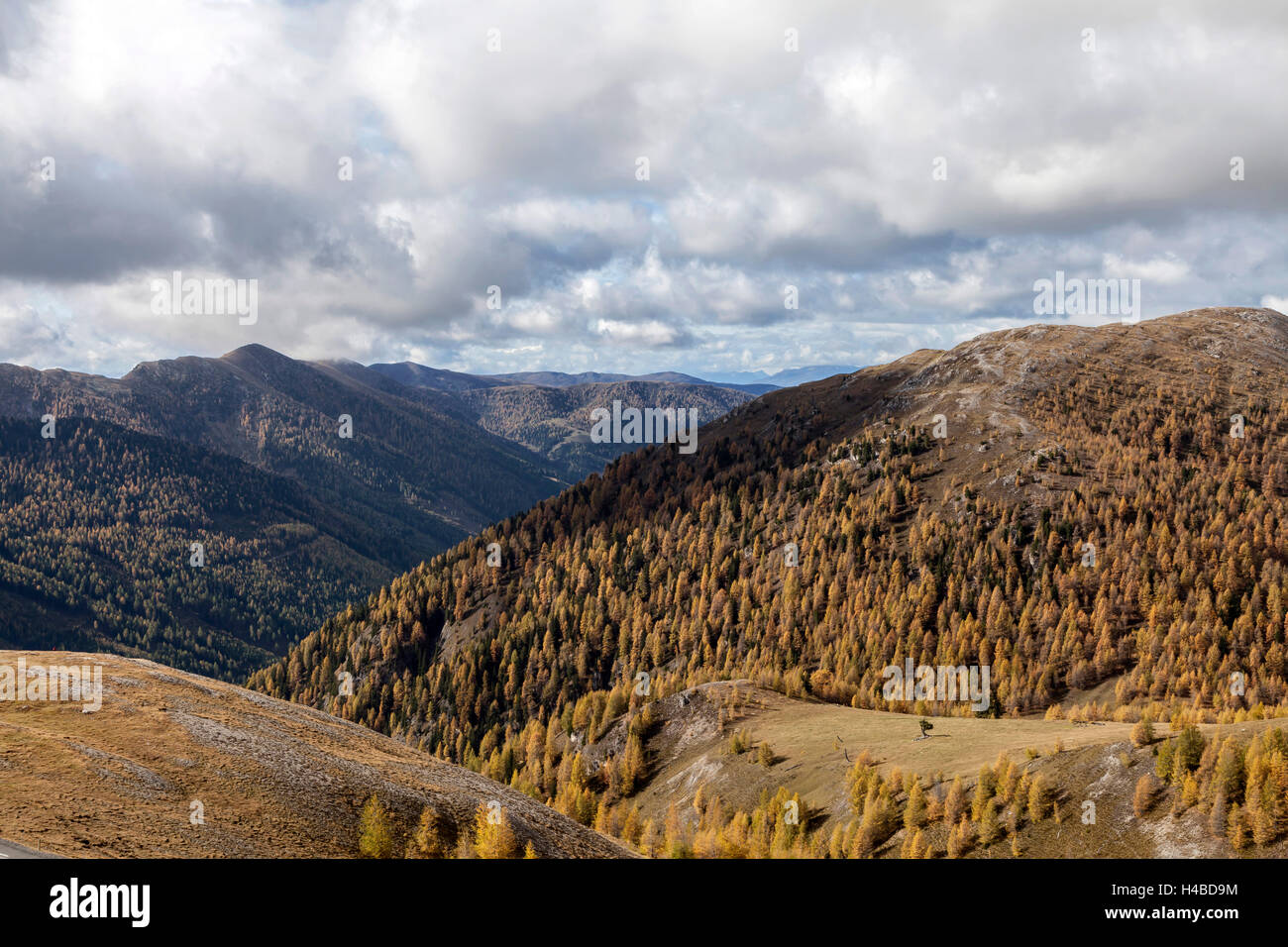 Dans le parc national des Montagnes de Nock, Autriche Banque D'Images