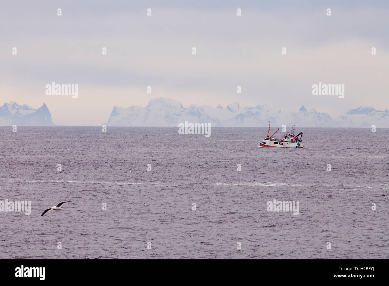 Pêcheur sur la mer Banque D'Images