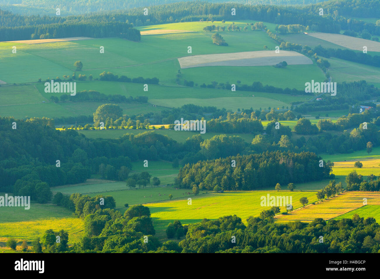Paysage de montagne vue de Abtsrodaer Kuppe, Wasserkuppe, Poppenhausen, Rhoen Mountain Range, Hesse, Allemagne Banque D'Images